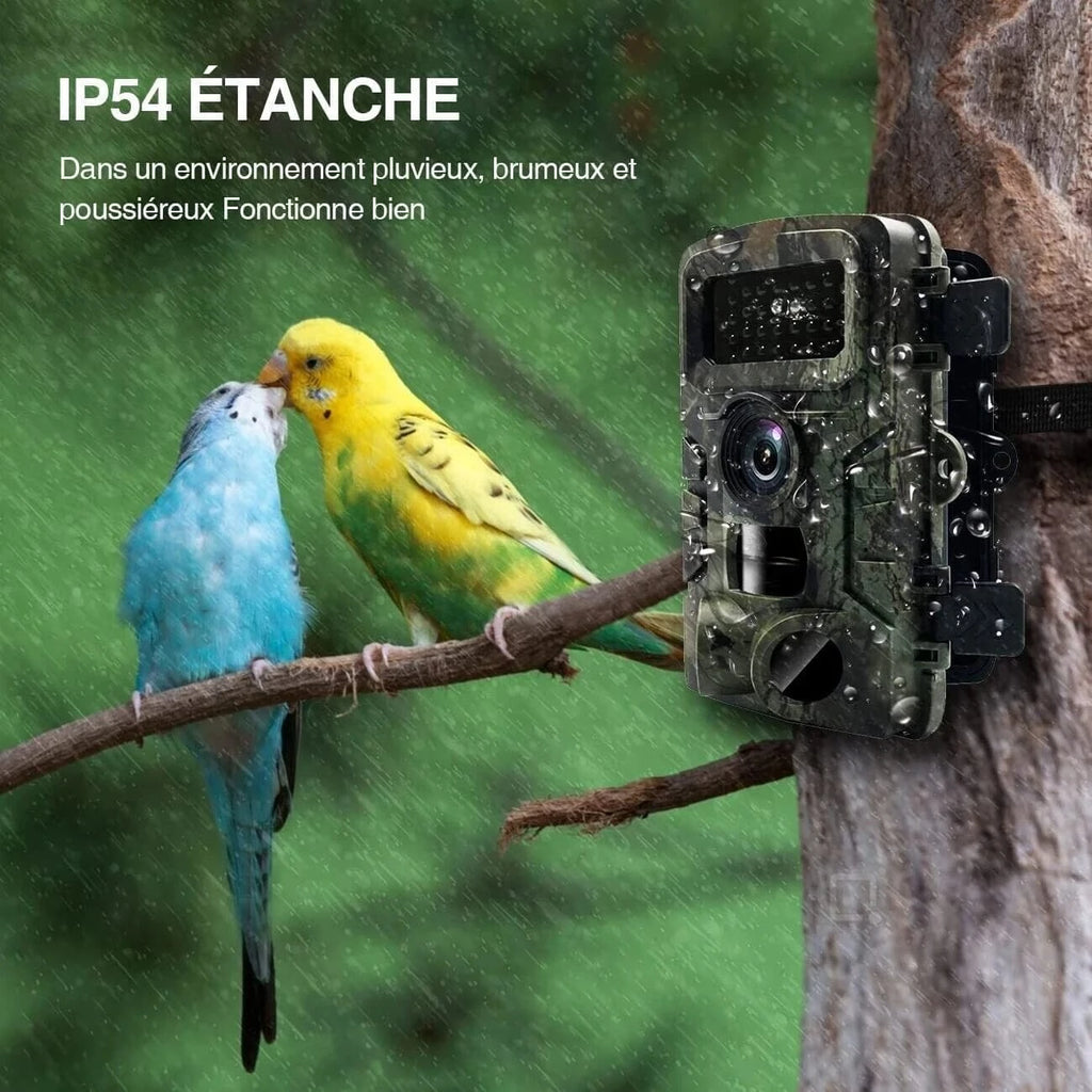 Foyu Trail Cameras Fototrappola Infrarossi, Telecamera Caccia Impermeabile 16MP Full Hd